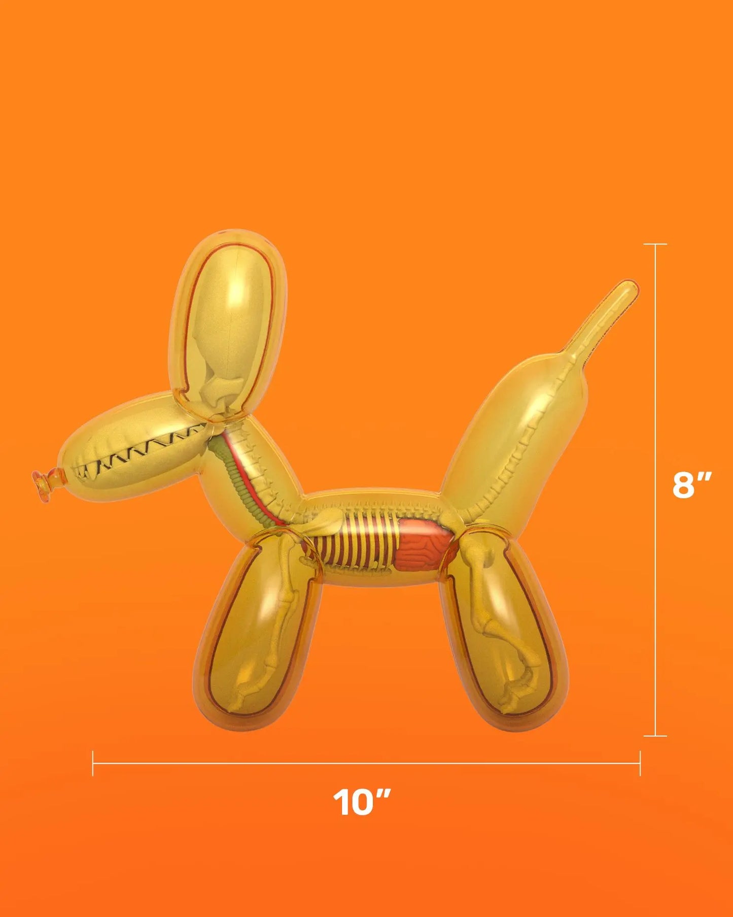 Funny Anatomy Balloon Dog "Honey" Edition