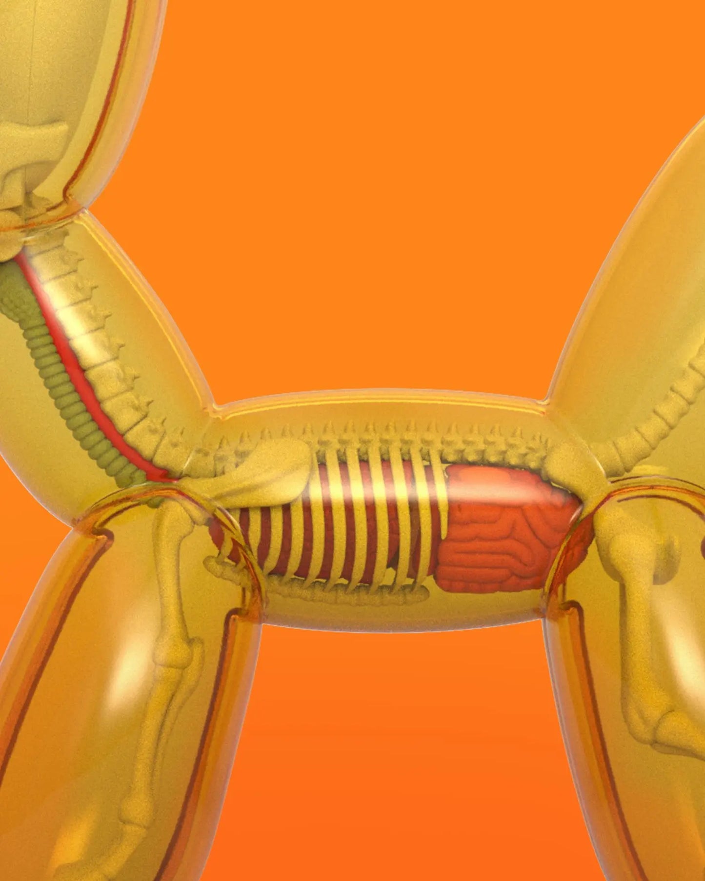 Funny Anatomy Balloon Dog "Honey" Edition